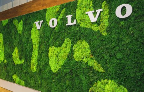 Mooswand aus Waldmoos mit dem Logo Volvo