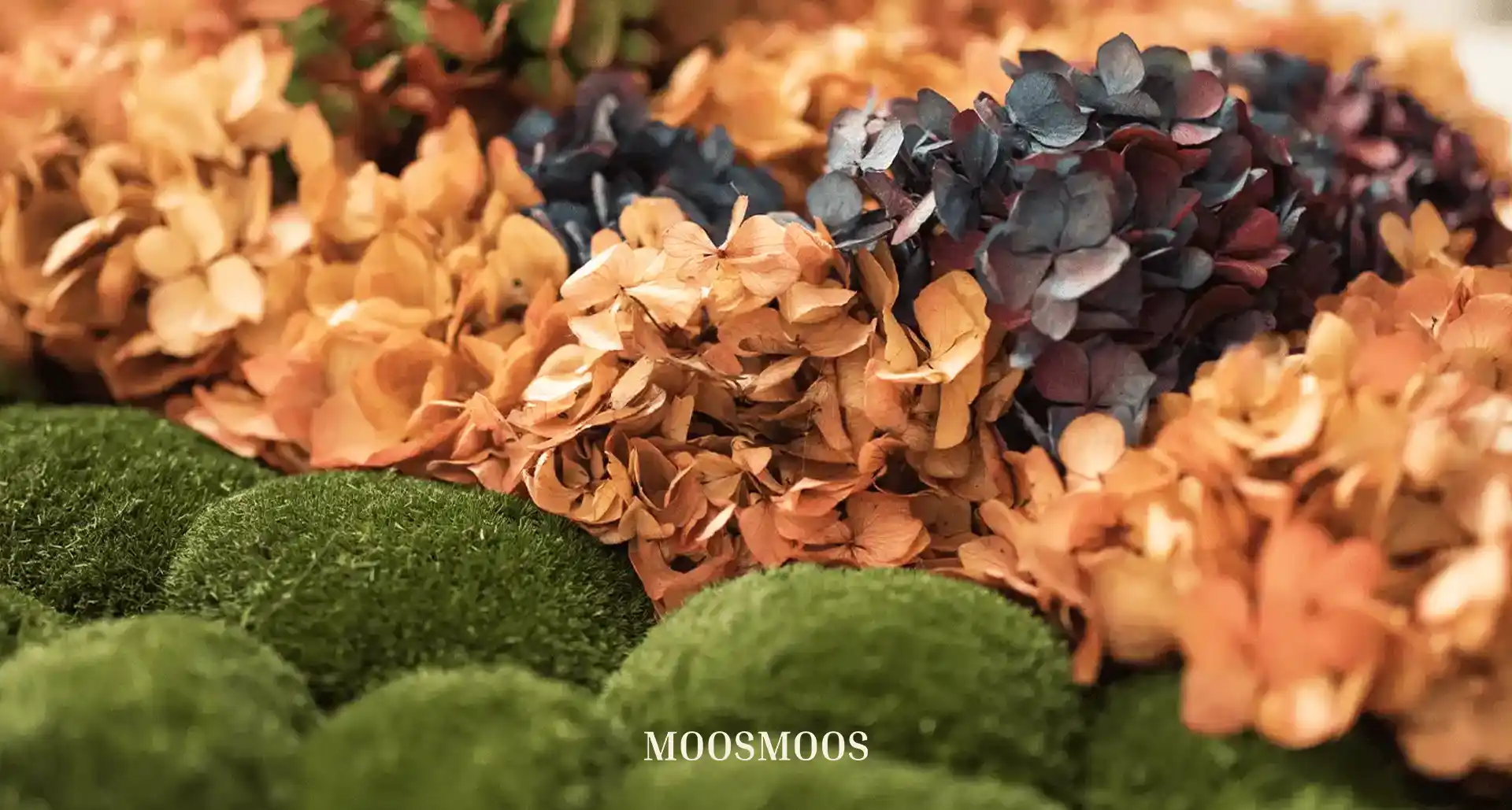 MOOSMOOS Blumenwand / Flowerwall mit echten Blumen, Pflanzen und Moosen Detailansicht
