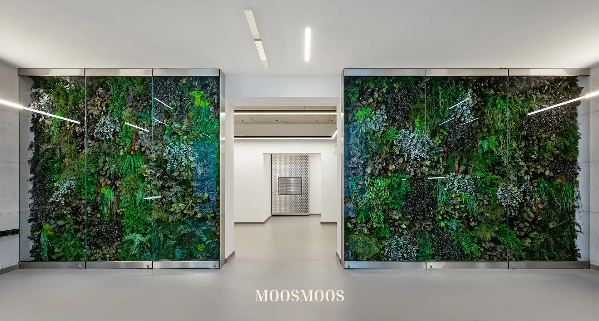 MoosMoos Raumteiler und Trennwände aus Moos und Pflanzen