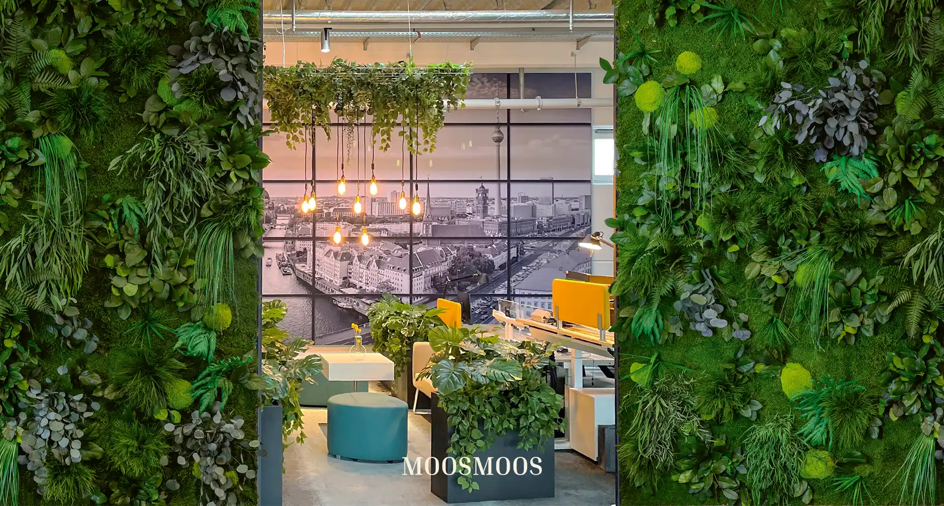 MoosMoos Raumteiler und Trennwände aus Pflanzen