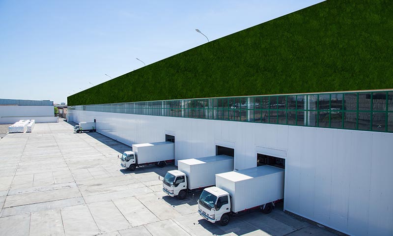 Greenovation_Fassadenbegrünung