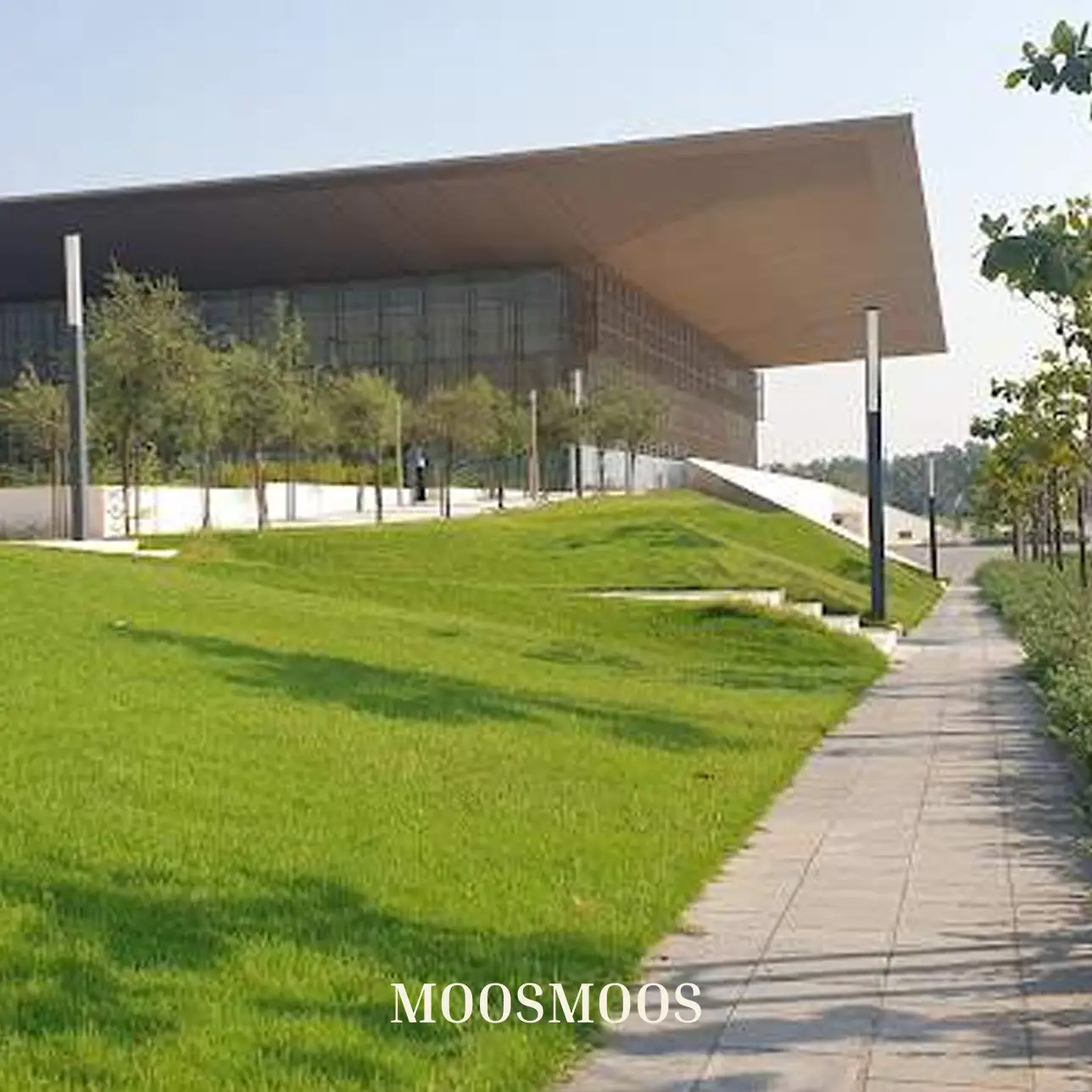 MOOSMOOS Vetrieb & Kundendienst für persönliche Beratung kunden für Mooswände, Moosdecken & Moosbilder & Außenfassadenbegrünung Green Concept